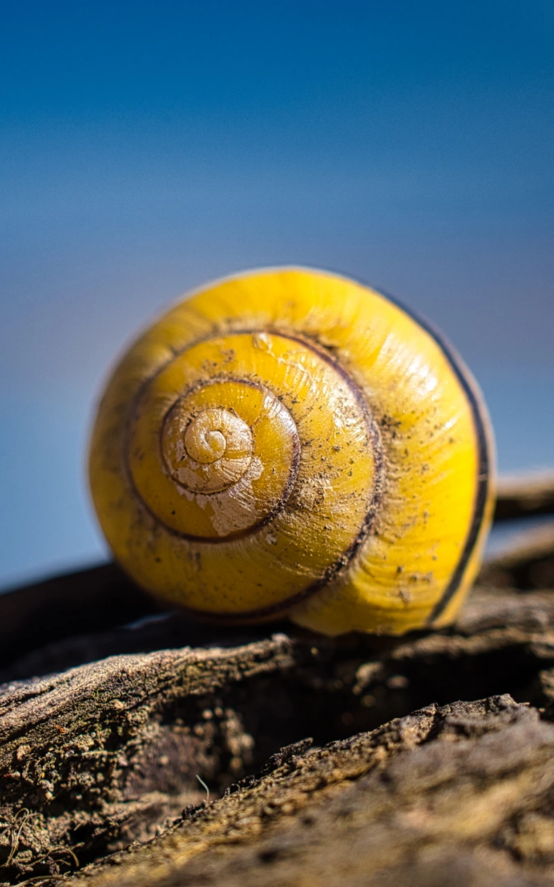 AI 正在重寫 B2B SEO：提升搜尋能見度的新戰略手冊