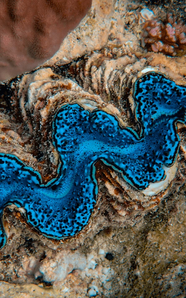 AI 在電郵行銷中的指南