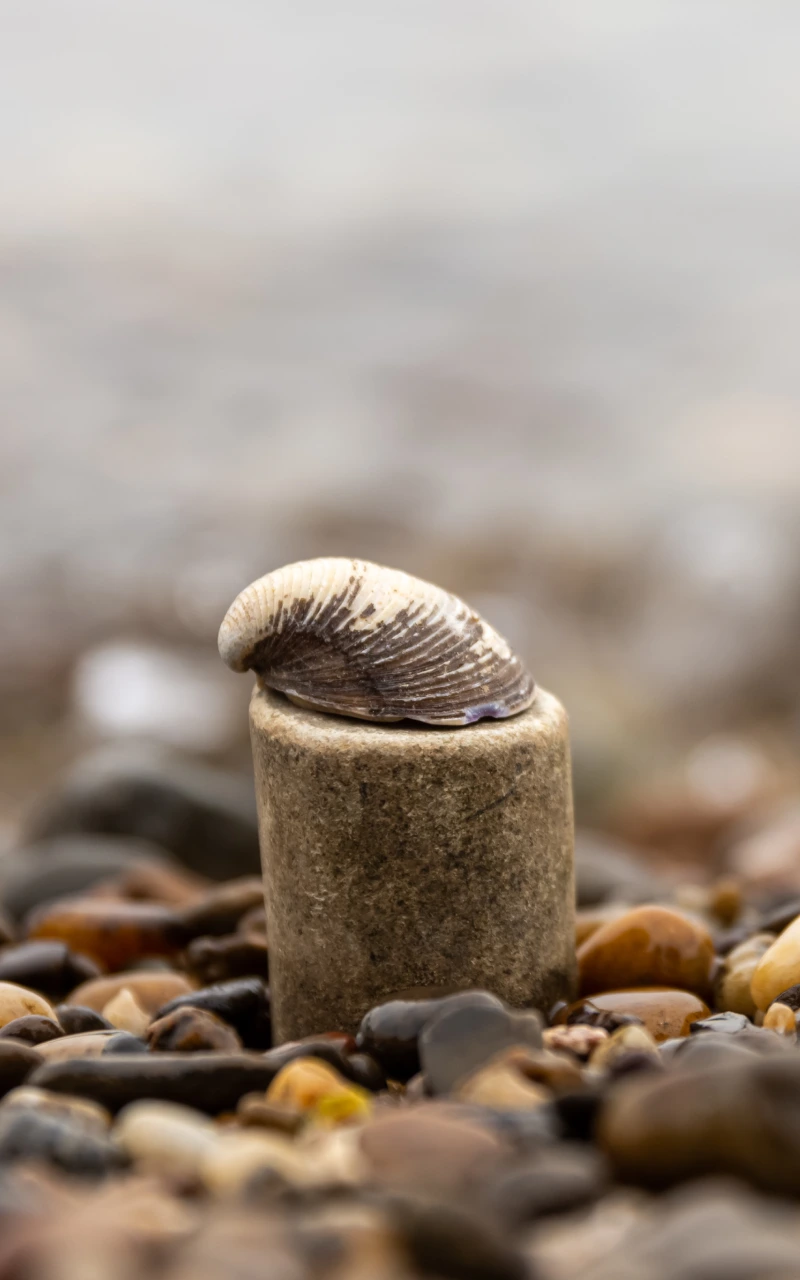 生成式引擎優化（GEO）：讓你的內容被 AI 選中