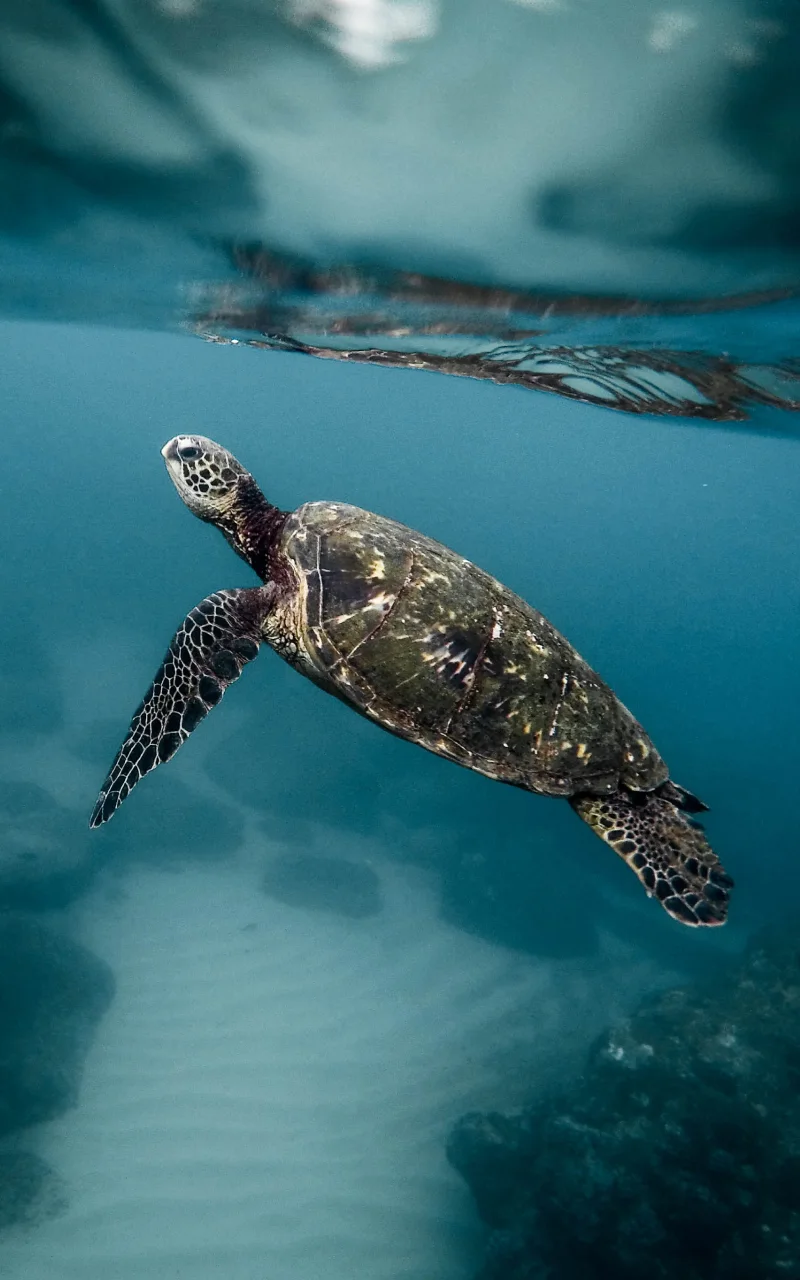 2026 年的 B2B 行銷：實際在改變的是什麼、不變的是什麼